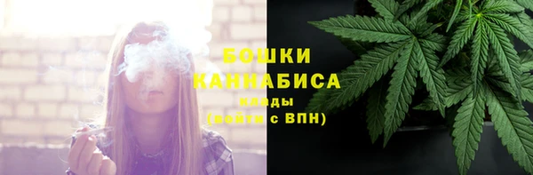 трава Осинники
