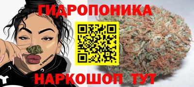 дурь Дубна