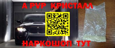 PSILOCYBIN Донской