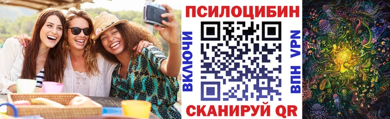 маркетплейс какой сайт  Торжок  Псилоцибиновые грибы Psilocybine cubensis 